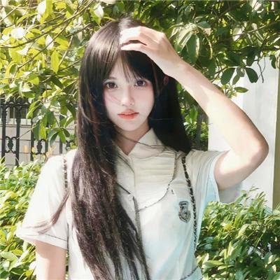 金石情